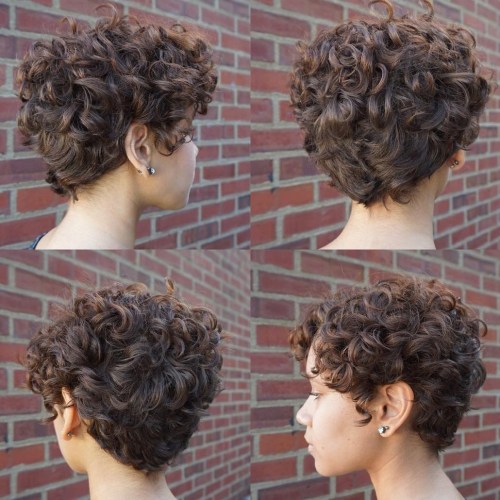 Brown Curly Pixie Hairstyle