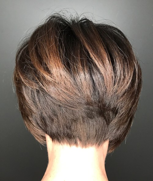 Brown Stacked Pixie Bob